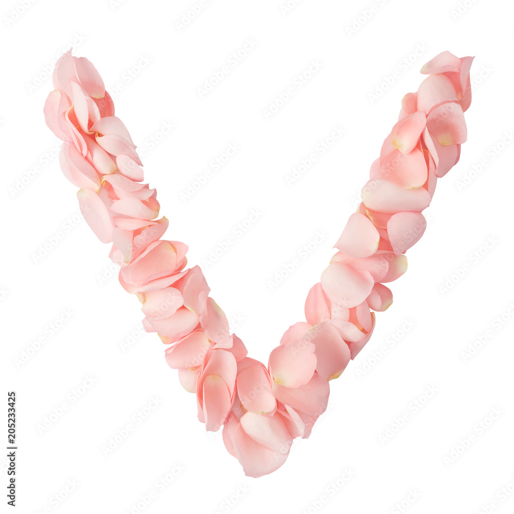 Obraz premium Letter V of pink flowers