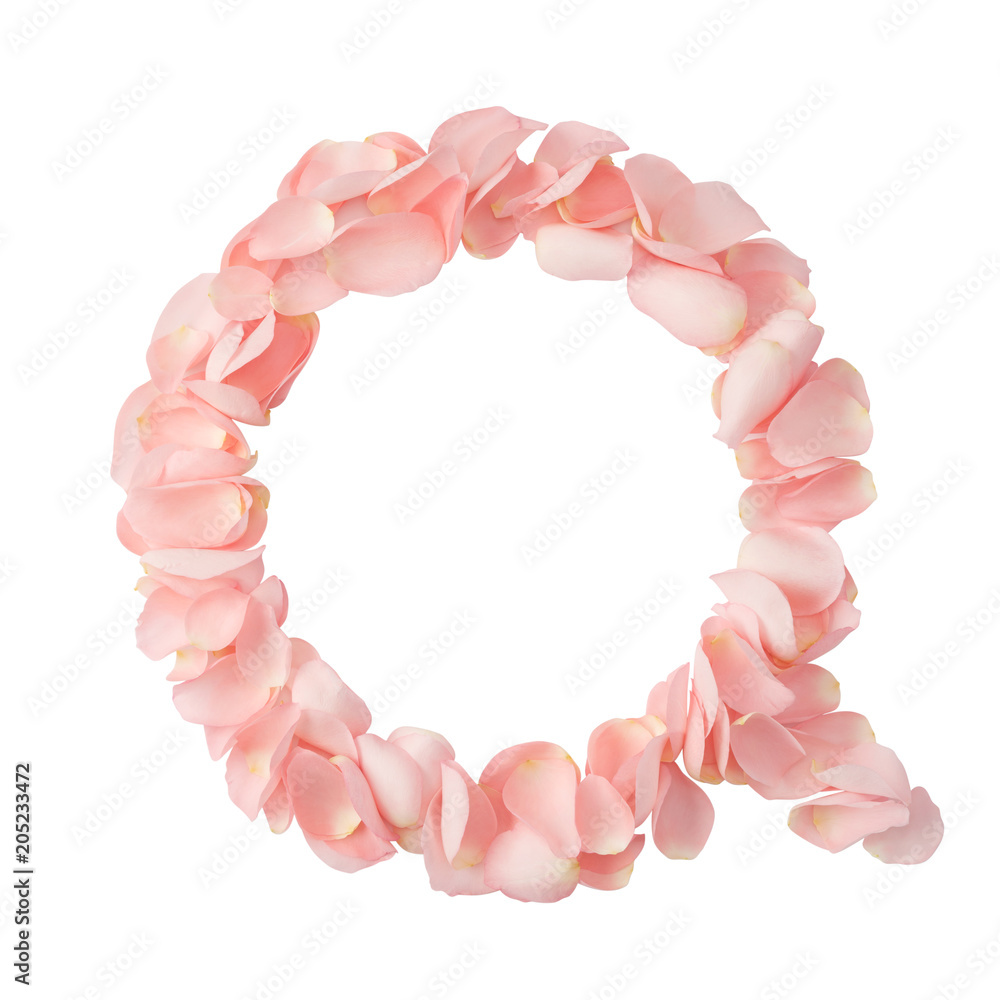 Obraz premium Letter Q of pink flowers