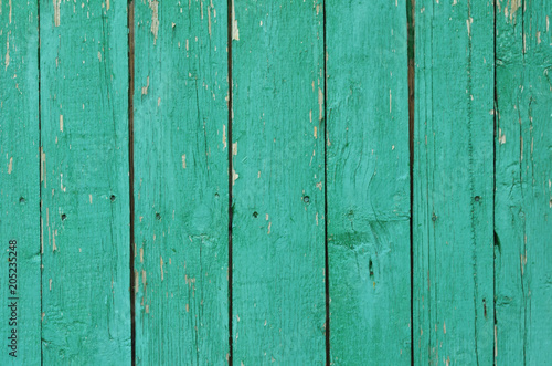 Pure wooden boards with bright green paint, texture.