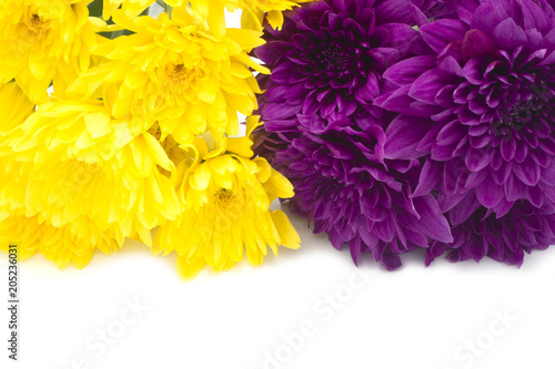 beautiful purple and yellow hrysanthemum flowers at the market in Thailand, with copy space photo