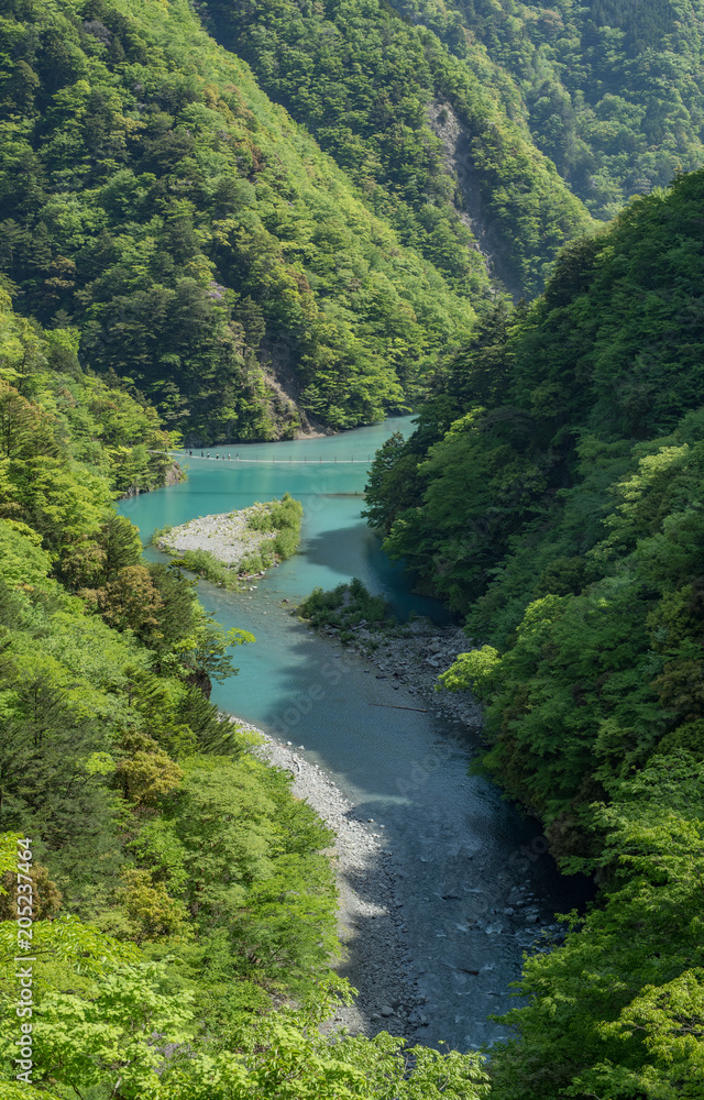 寸又峡の夢の吊橋 寸又峡の夢の吊橋