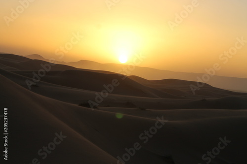 Sahara Sun  © Sylvia