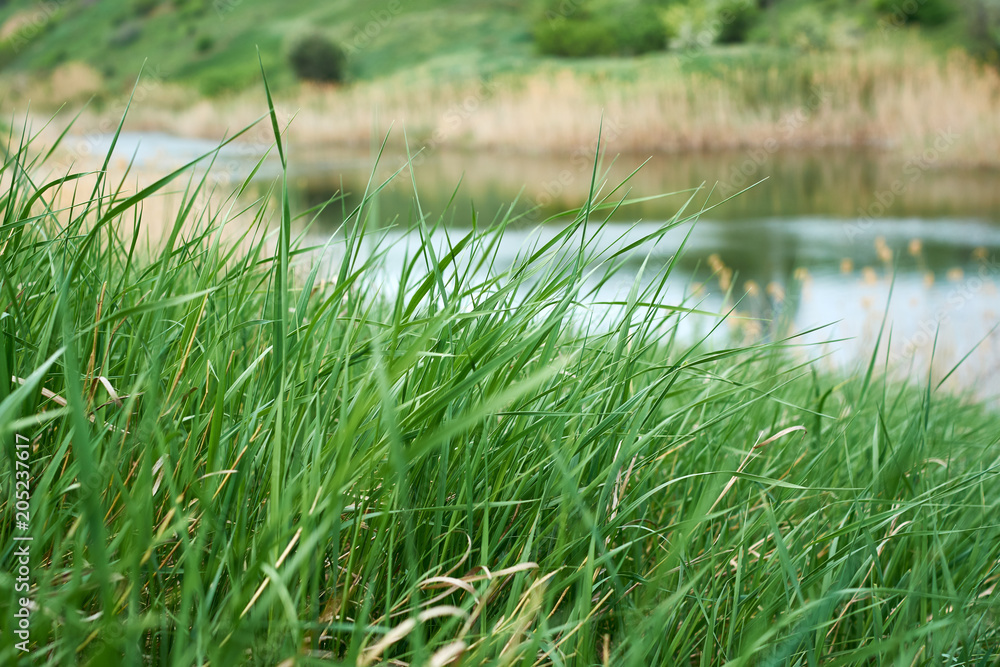 Obraz premium hills, grass and lake