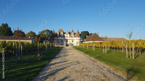 Chateau Montbazillac In The Vines