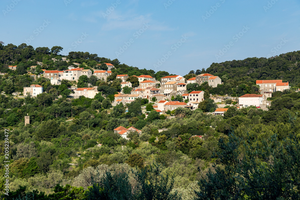 Obraz premium Govedari,small village on island Mljet.Croatia