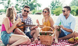 Group of friends enjoying picnic on the beach. Lifestyle, vacation, relationships concept