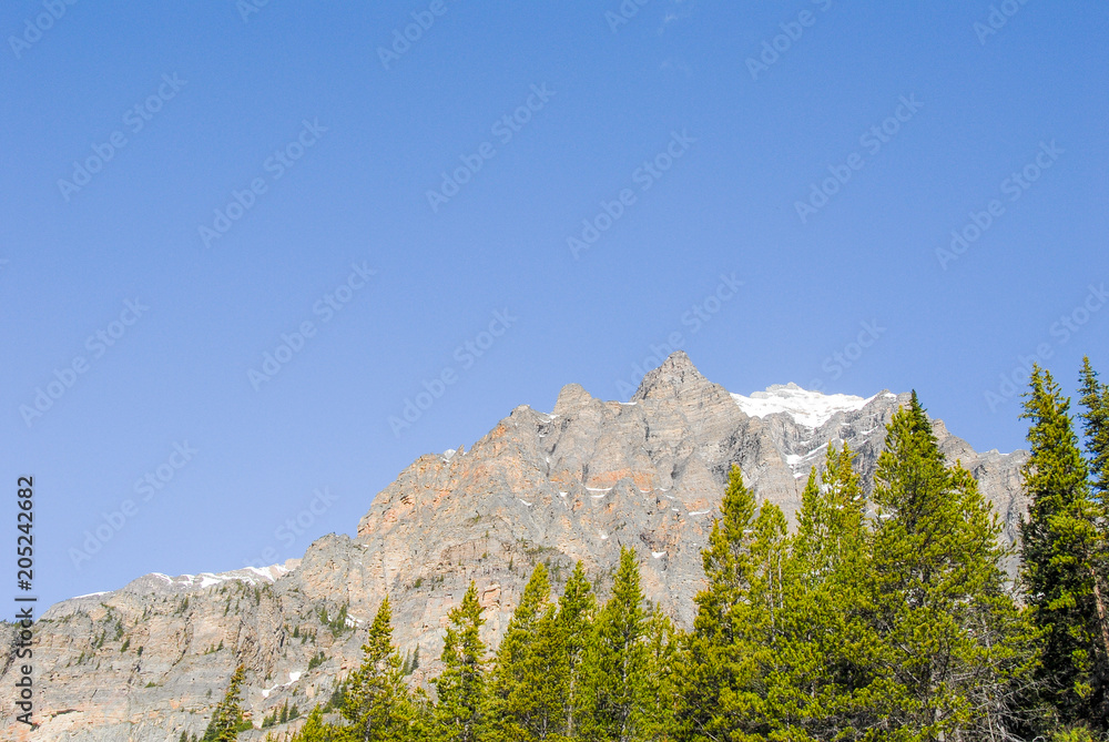 春のカナディアン・ロッキー　バンフ国立公園　朝のモレーン湖周辺の山並みと新緑（カナダ）
