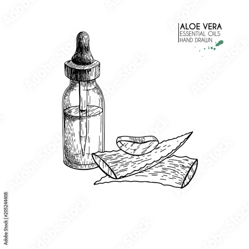 Hand drawn set of essential oils. Vector eloe vera serum. Medicinal herb with glass dropper bottle. Engraved art. Good for cosmetics, medicine, treating, aromatherapy, package design health care.