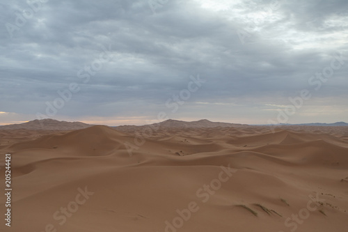 Fototapeta Naklejka Na Ścianę i Meble -  deserto