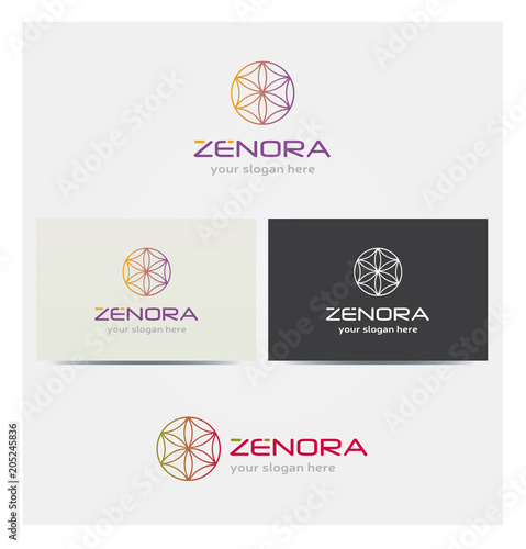 Logo Fleur de Vie Icone Carte de Visite et Charte Graphique Entreprise Plusieurs Couleurs