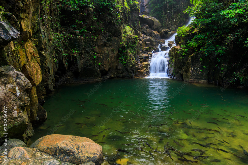 Pliw waterfall, Beautiful waterwall in nationalpark of Chunthaburi province, ThaiLand. Pliw waterfall, Beautiful waterwall in nationalpark of Chunthaburi province, ThaiLand.