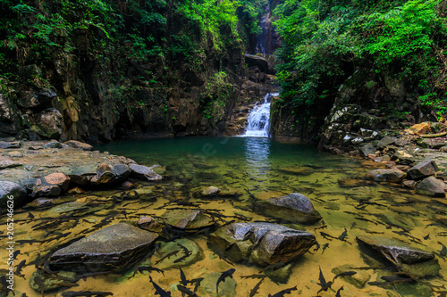 Many fish in Pliw waterfall, Beautiful waterwall in nationalpark of Chunthaburi province, ThaiLand. photo