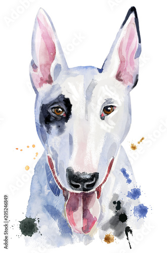 Watercolor portrait of bull terrier