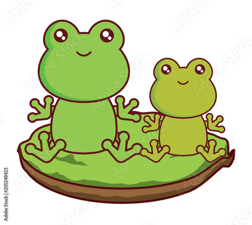 cute frogs in the grass over white background, colorful design. vector illustration