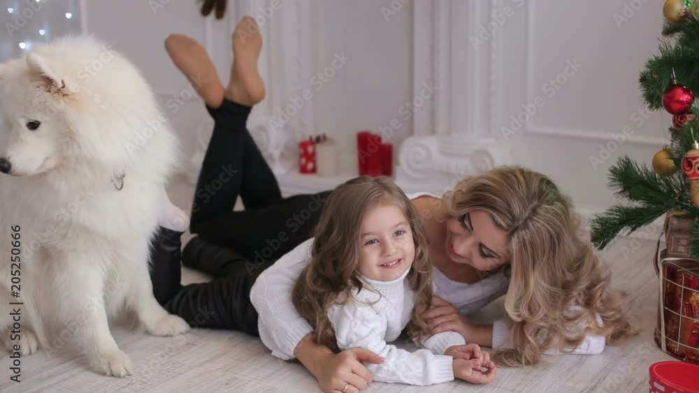 Lovely mother and child playing under a Christmas tree with a fluffy dog. Samoyed husky dog. Lovely mother and child playing under a Christmas tree with a fluffy dog. Samoyed husky dog.