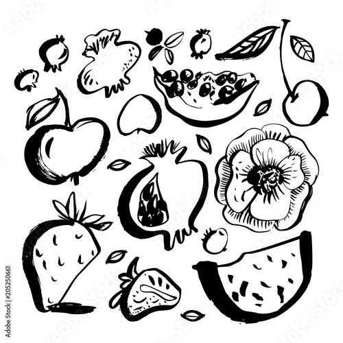 Fruits and berries. Watermelon, pomegranate, apple, cherry, blueberry, strawberry. Brush painted doodles. Hand drawn design elements. Vector illustration.