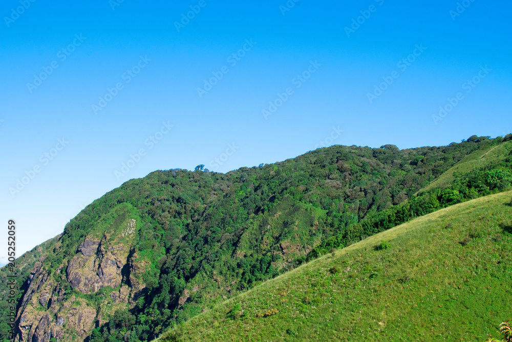 Obraz premium Sky, mountain, forest, fog and beautiful views.