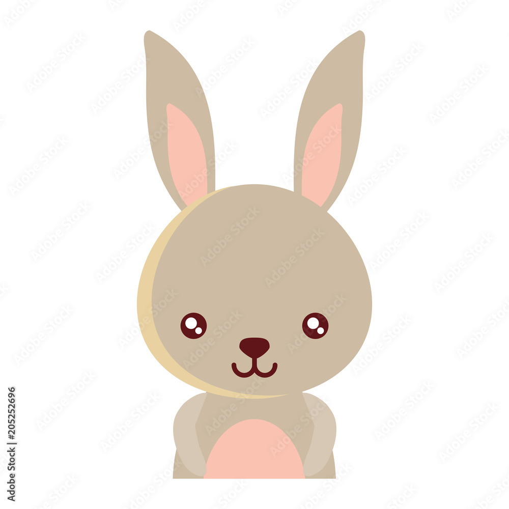 cute rabbit icon over white background, colorful design. vector illustration cute rabbit icon over white background, colorful design. vector illustration