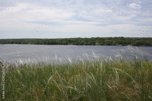 Feather on the river bank