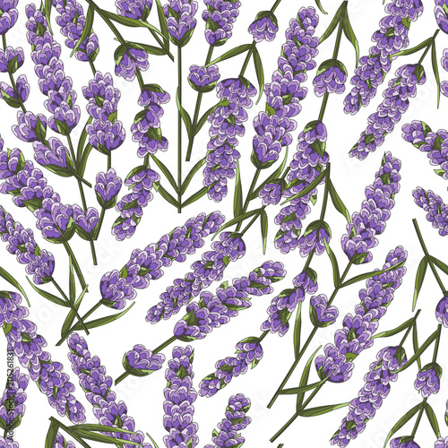 seamless pattern of purple lavender flowers, watercolor style flowers. elegant flowers. vector background