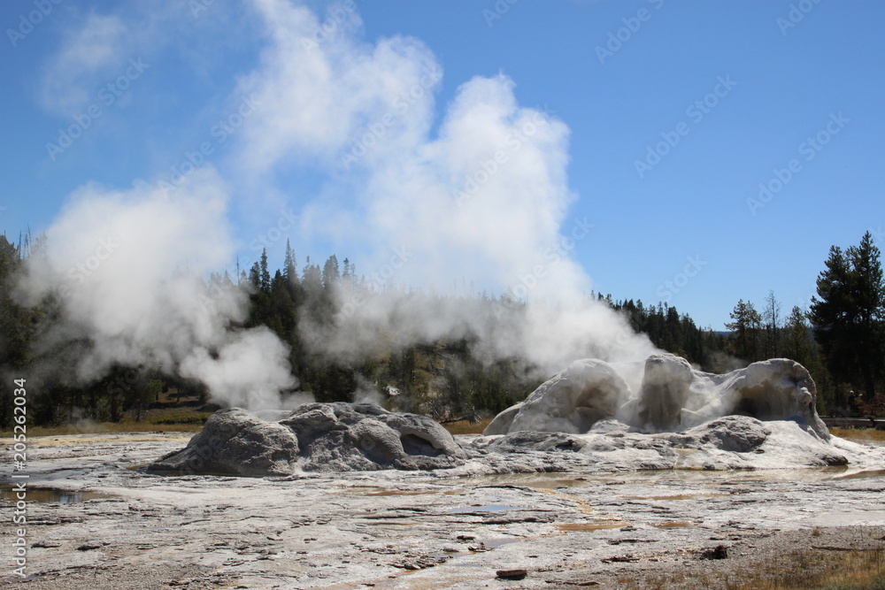 yellowstone geysir