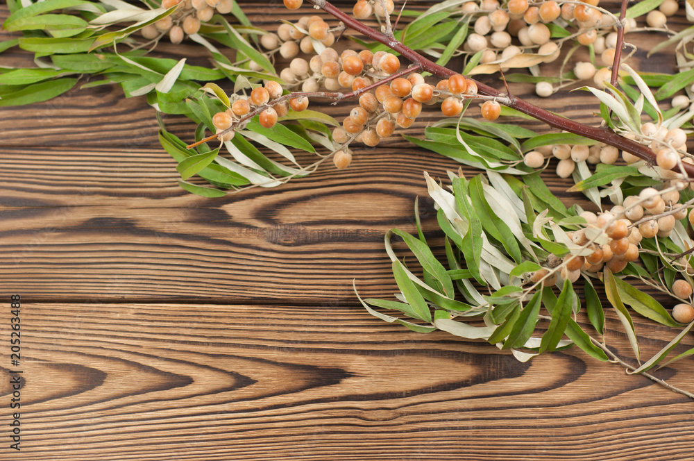 Obraz premium Raw olives on twig with green leaves on old rustic wooden table with copy space for your text