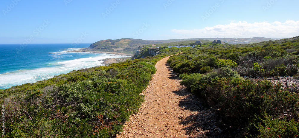 Hiking trail in the Robberg Nature Reserve near Plettenberg Bay on the Garden Route, Western Cape, South Africa