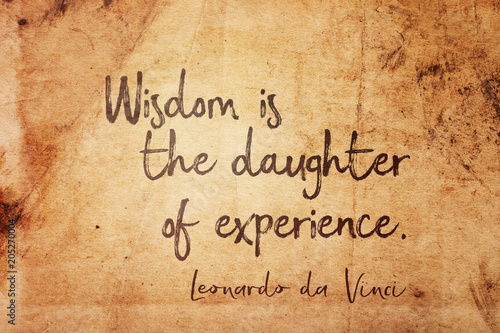 wisdom is Leonardo photo