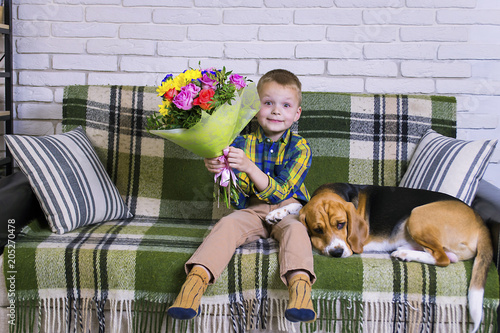 funny boy with a bouquet of flowers and a dog Beagle on the sofa