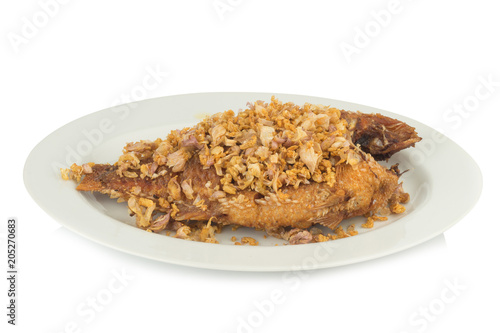 asia-asian food. thai food. fried nile tilapia river fish with garlic. on dish ceramic. isolated on white background