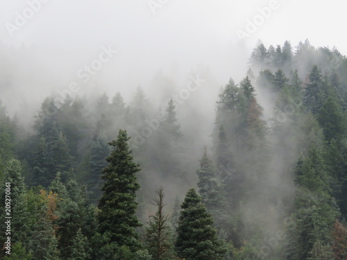 Foggy Morning, Utah