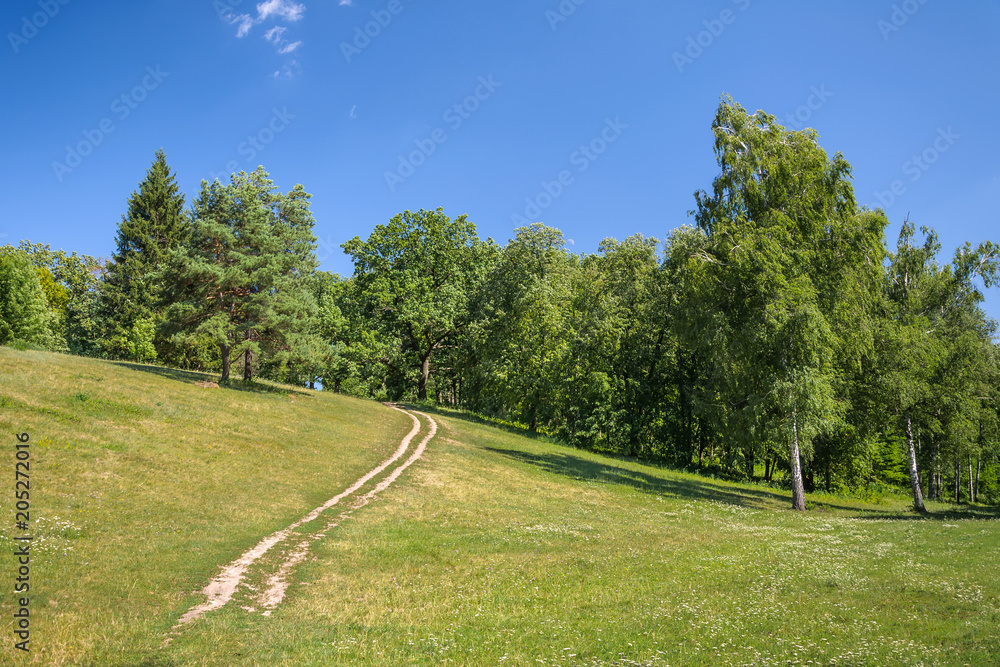 Road in the valley