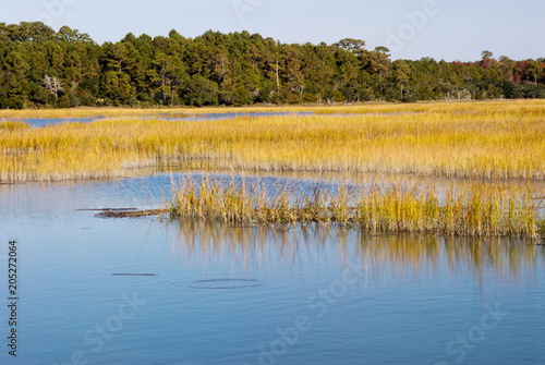 Salt Water Marsh Murrells Inlet South Carolina