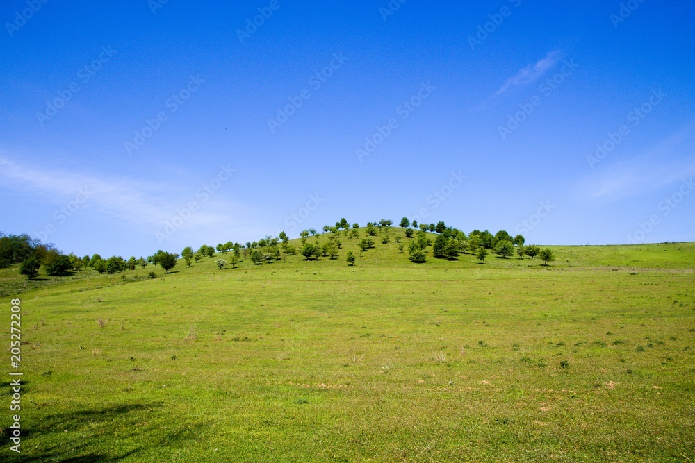 View of beautiful country