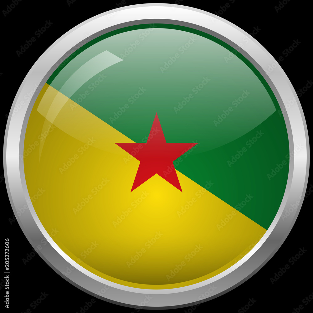 French Guiana flag glass button vector illustration French Guiana flag glass button vector illustration