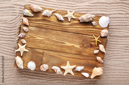 Seashells with brown wooden frame on beach sand