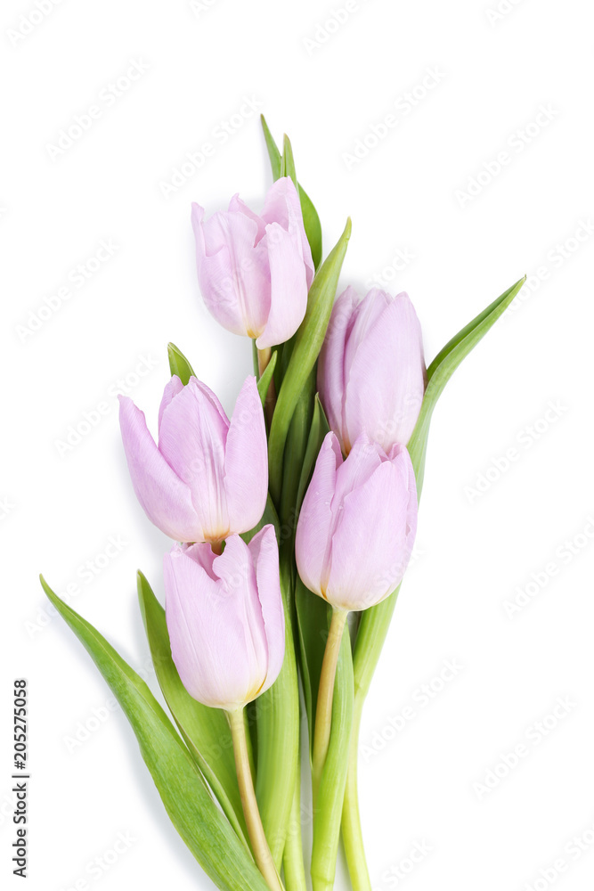 Bouquet of purple tulips isolated on white background