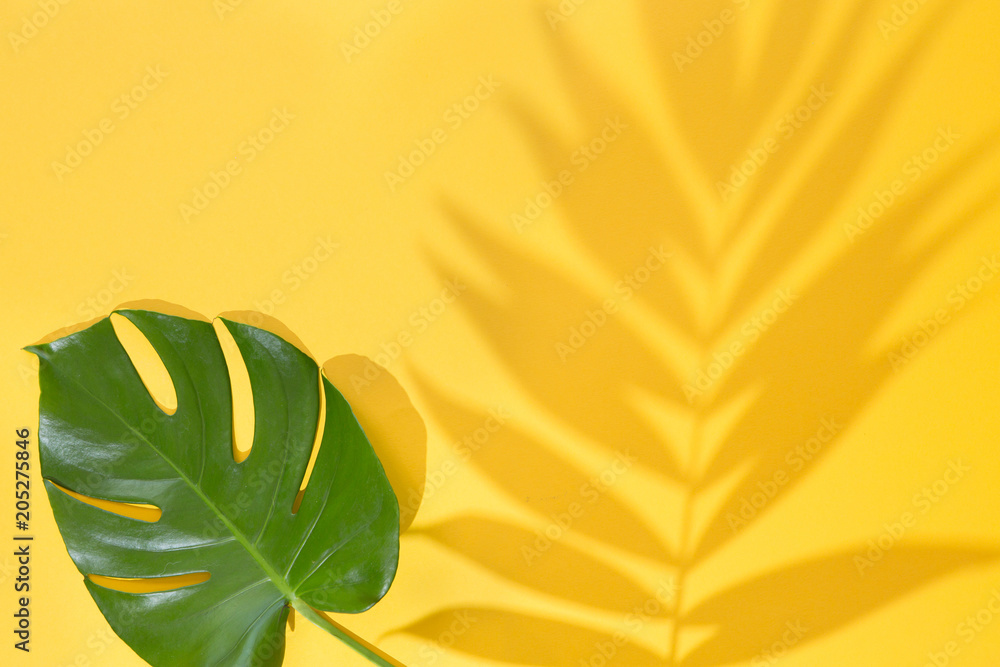 Fototapeta premium Top view of green tropical leaves Monstera and Areca on yellow background. Flat lay. Summer concept with palm tree leaf, copyspace. Vacation, holiday, travel, sun background
