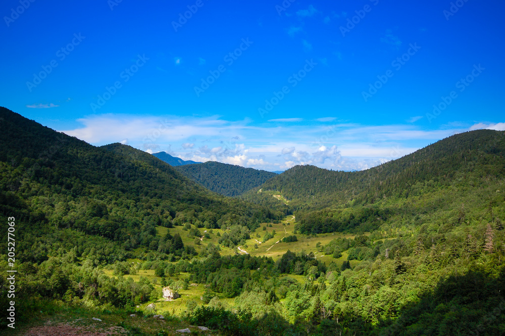 Beautiful scenic forest mountain under blue sky