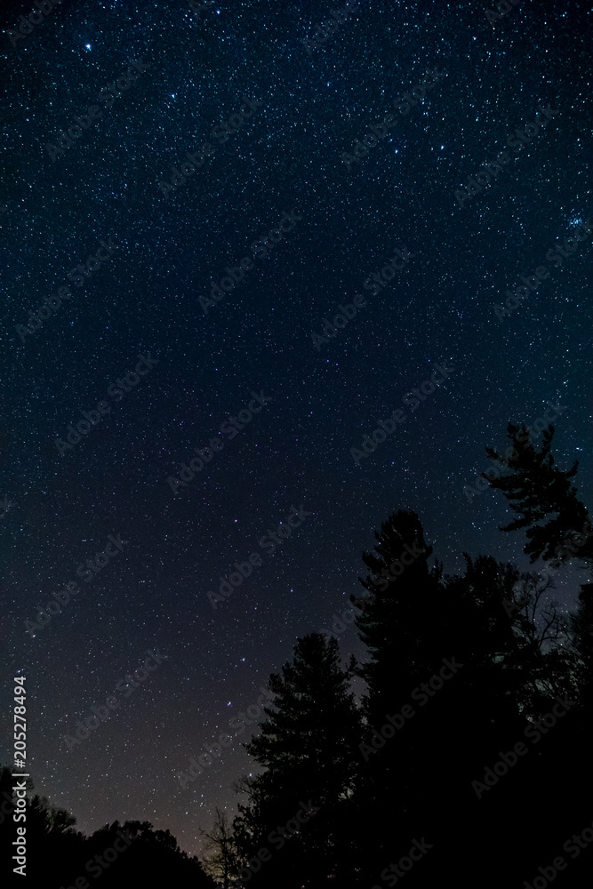 Naklejka premium Night Sky Over Kentucky