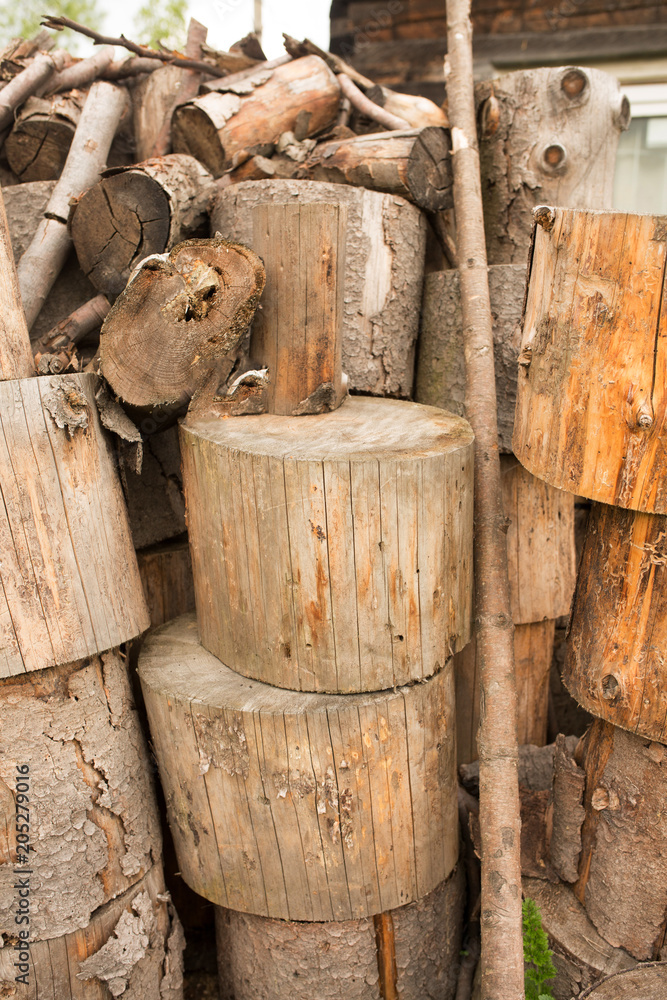 Pine of firewood in the countryside Pine of firewood in the countryside