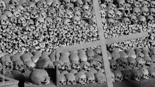 Skull Heads in Naples photo