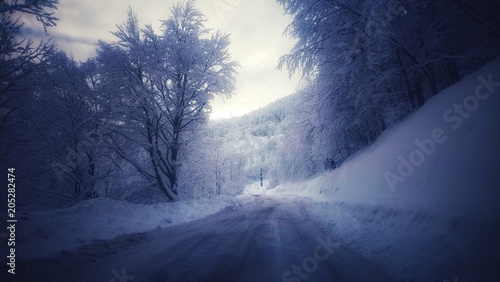 Snow © Chiara