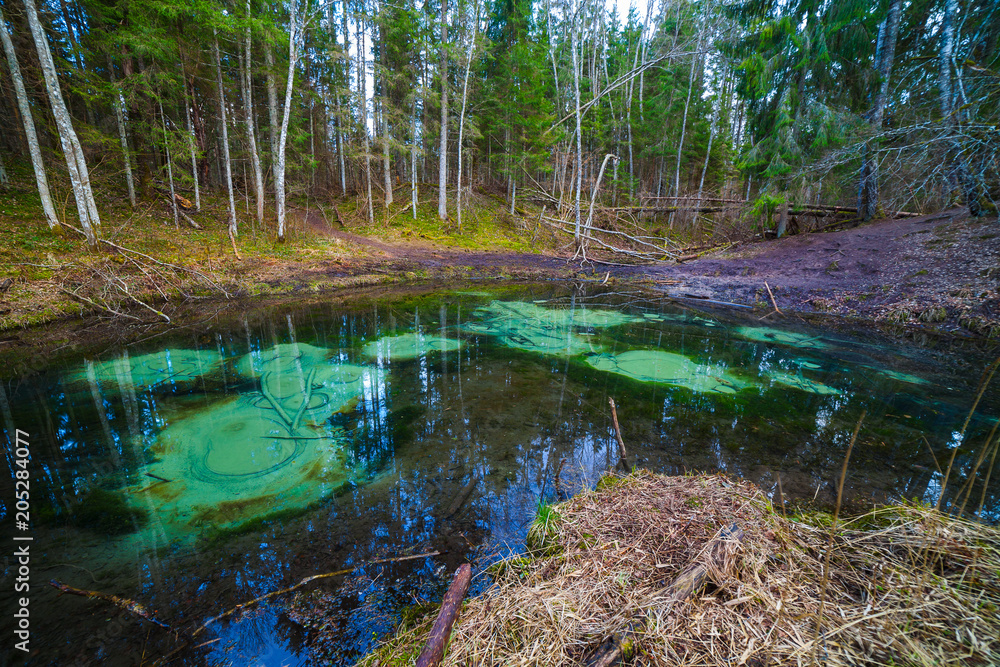Freshwater springs of Saula, Estonian landmark. Pure water and colored bottom of a pond in the forest. Freshwater springs of Saula, Estonian landmark. Pure water and colored bottom of a pond in the forest.
