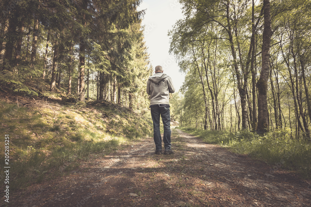 Wanderer auf einem einsamen Waldweg Wanderer auf einem einsamen Waldweg