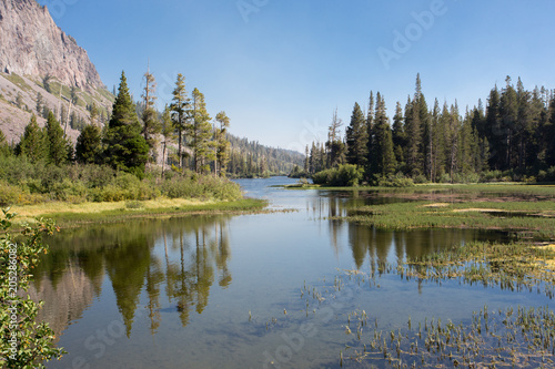 Sanfte Landschaft der Mammoth Lakes in Kalifornien. Die Wälder und gelben Pflanzen spiegeln sich im klaren Wasser des Sees unter blauem Himmel
