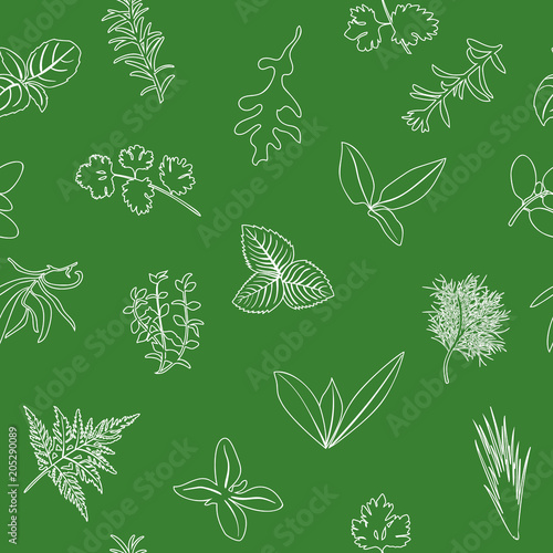 Popular culinary herbs seamless pattern. realistic style. icon outline sketch on green. Basil, coriander, mint, rosemary, basil,