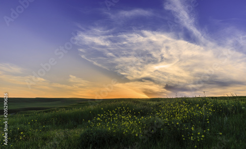 Spring in the fields of Gob...