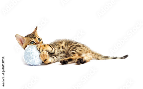 Wallpaper Mural kitten and a ball of yarn Torontodigital.ca