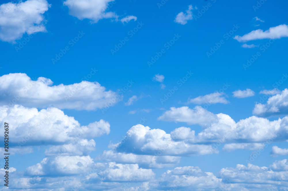Fototapeta premium blue sky with white clouds